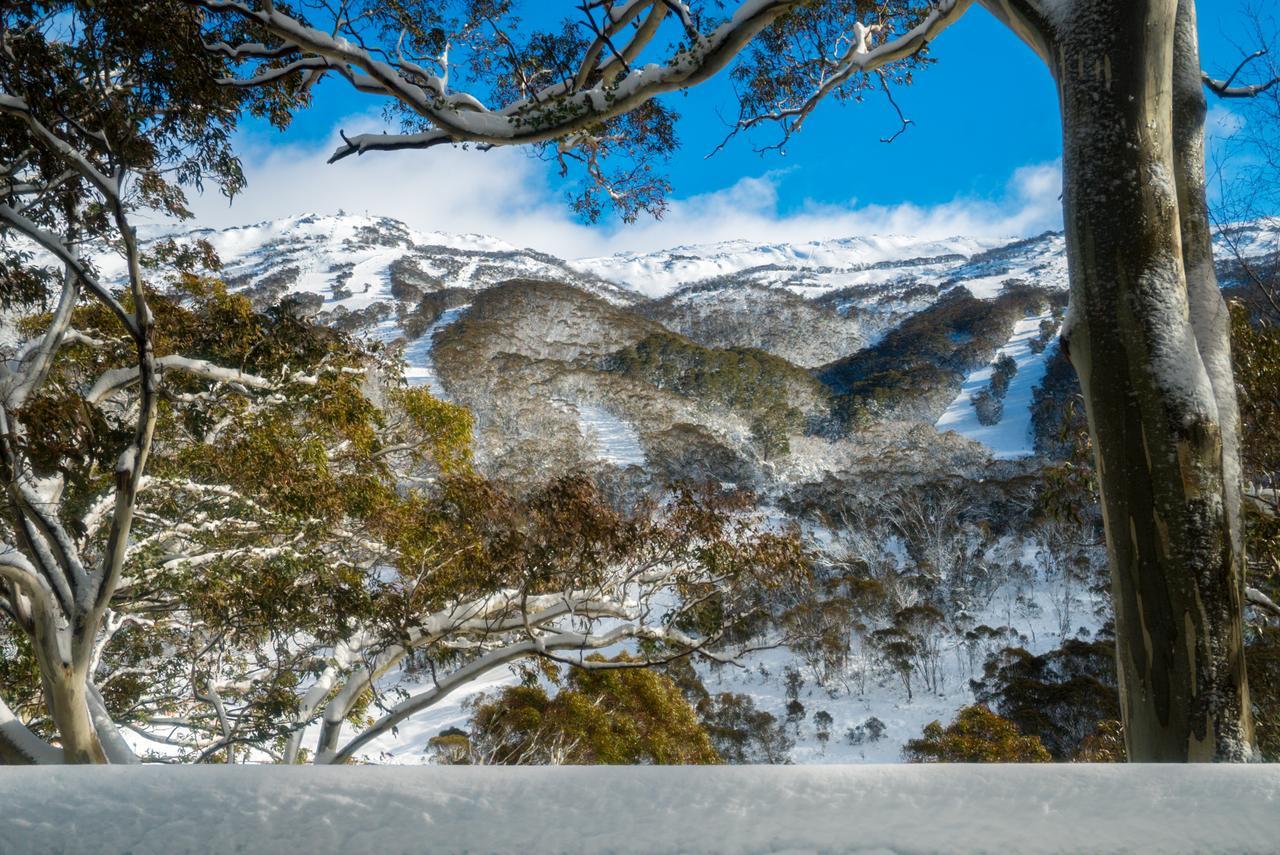 Pure Chalet Thredbo Kültér fotó