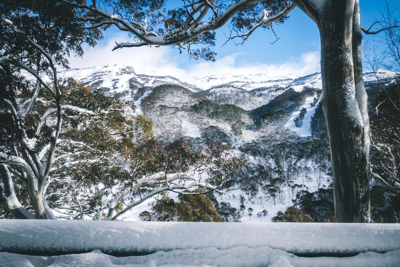 Pure Chalet Thredbo Kültér fotó