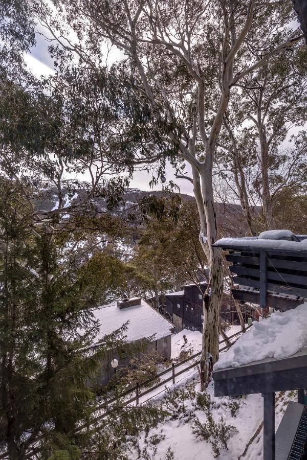 Pure Chalet Thredbo Hotel Kültér fotó