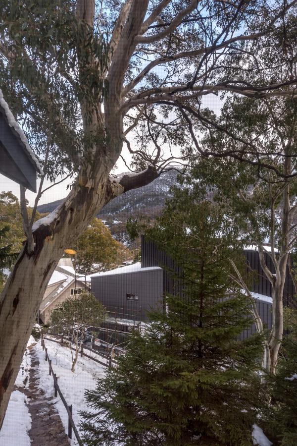 Pure Chalet Thredbo Kültér fotó